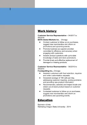 Resume Template 5
