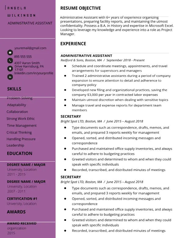 Resume Template 12